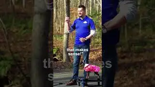 Pro-Tip: How Leash Pressure Work | Dog Training Basics