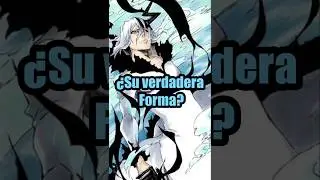 &iquest;La VERDADERA forma de Zangetsu? #bleach #anime #manga #tybw #ichigo #zangetsu #zanpakuto #hollow