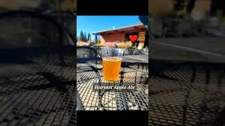 Jack Russell Brewery in Camino, CA