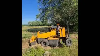 Carlton 7015 Baumstumpf - Baumwurzel in Echtzeit entfernt