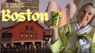 TWO DAYS IN BOSTON | Harvard | The Staypineapple Hotel  🍍
