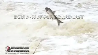 Raging Waters Send Silver Carp Flying - 5/1/2017 Crab Orchard, IL