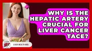 Why Is The Hepatic Artery Crucial For Liver Cancer TACE? - Liver Health Hub