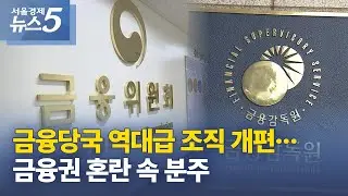 금융당국 역대급 조직 개편&hellip;금융권 혼란 속 분주