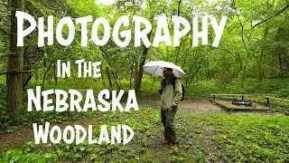 PHOTOGRAPHY in the Nebraska Woods | Schramm State Park | Omaha, Nebraska