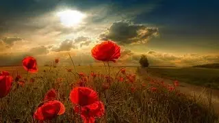 Trance Mix - The Nature