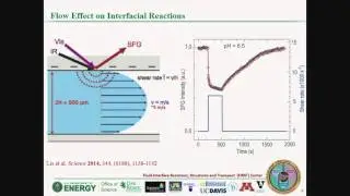 Surface Reaction, Solvent Inhomogeneity, and Ion Transport in Electric Double Layers