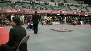 SJJIF WORLD 2019 - Jason Ackerman X Raymond Ellison