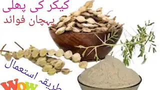 کیکر کی پھلی، پہچان اور استعمال، کیکر کی پھلی کے فوائدAcacaia nilotica pods