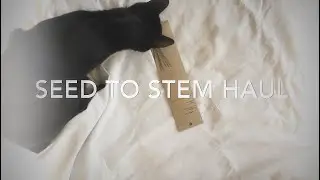 SEED TO STEM Haul