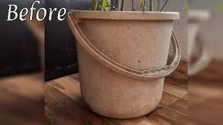 Transform Waste Plastic Bucket into Beautiful Flower Basket Making Ideas//GREEN PLANTS