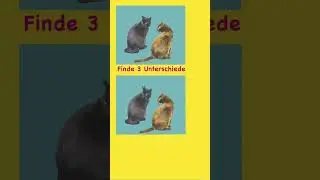 Finde drei Fehler #shorts #bilderr&auml;tsel #cat #gehirntraining