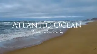 Dog vlog | Atlantic ocean walk | November 2021