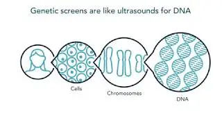 Genetic Screening Overview Patient Education Animation