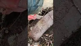 Металлокоп 2023 Колесо Фортуны