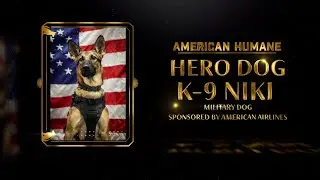 2024 Hero Dog Awards | Military Hero Dog Niki