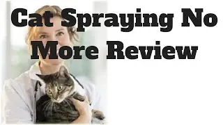 Cat Spraying No More Review