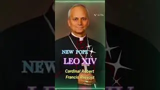 New pope #newpope #pope #popeleo14 #shortsfeed #shorts #catholic