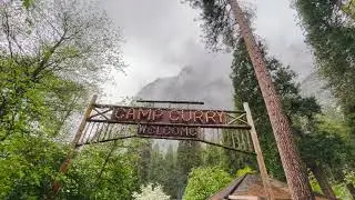 Curry village 😍😍😍 @ Yosemite National Park 