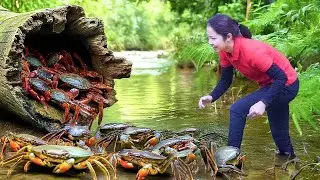 Harvesting Giant Crabs To Sell At The Market - Grow Vegetables | Hanna Daily Life
