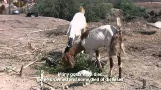PFF Documentary on Rescue work.VOB