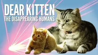 Dear Kitten: The Disappearing Humans &ndash; Purina&reg; Friskies