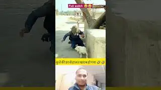 animal prank video🤣🤣 #animals #frank #funny #viral #viralshorts