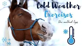 Cold weather exercises | Low energy training | Чем заняться с лошадью в мороз