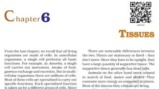 CLASS 9 SCIENCE CHAPTER 6 TISSUES | DAV CLASS 8 SCIENCE CHAPTER 9 TISSUE | EDUMAGNET