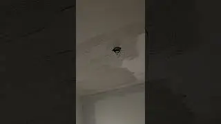 Satisfying Ceiling Float - Texture To Smooth