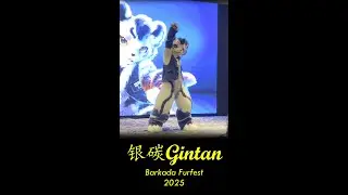 【Fursuit Dance】银碳Gintan - K-POP Demon Hunters 'GOLDEN' (Courtesy of Zane)