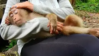 Kunthea tries to comfort Sovana is very sad miss her best friend Lisa, Sovana wish to see Lisa back!