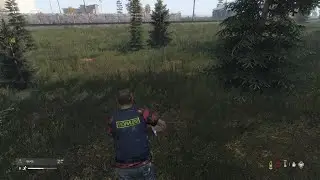 DayZ_20260109173540