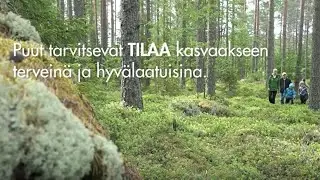 UPM Puukauppa