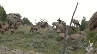 Sportsmen's Alliance Christmas in July Raffle featuring Table Mountain Outfitters