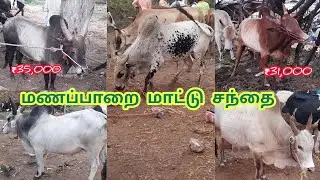 சிறந்த காளைகள் || மணப்பாறை மாட்டு சந்தை இந்த வாரம்#jallikattu #manapparai