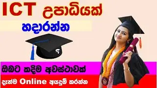තොරතුරු තාක්ෂණ උපාධියක් 2024 | BIT Degree program 2024 | degree program 2024