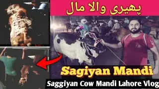 Hum Sagiyan Mandi gaye 🙆&zwj;♂️ Lahore sagiyan mandi update #cowmandi