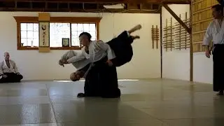 Arielle Nidan Test Aikido