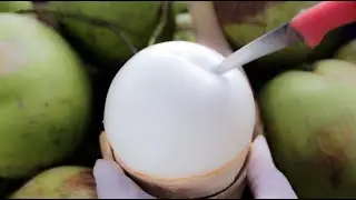 Coconut Cutting Skills King