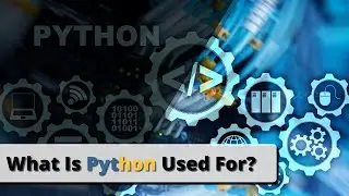 What is Python used for? What can you do with Python?