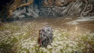 Malenia Elden Ring Boss Fight cheese with bleed and Mimic Tear