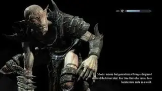 Skyrim fail