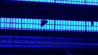 Duramaxx Mosquito Ex 5000 killt Motte