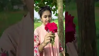 বউ যখন প্রপোজ করে