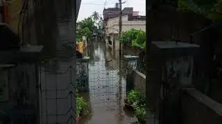 Rainy days। Worst conditions of people in behala 126 ward । দুয়ারে জল