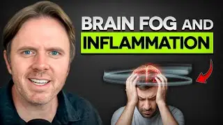 Stop Brain Fog How Inflammation Hurts Your Memory