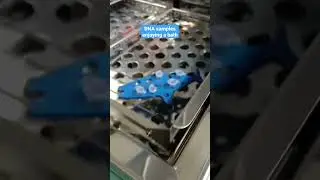 Sample Preparation LC-MS/MS