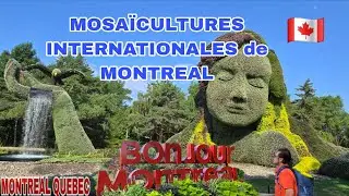 EP272- One Of A Kind | Mother Earth | The Man Who Planted Trees | Parc-Jean-Drapeau
