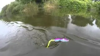 CA Delta Bass Fishing Top Water/Wake (LiveTarget Mouse/Spro BBZ-1 Rat) With John